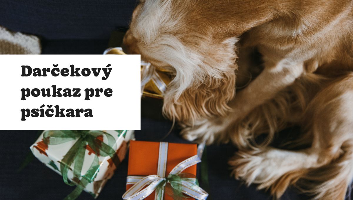 Hľadáte darčekový poukaz pre majiteľa psa? Už nemusíte.