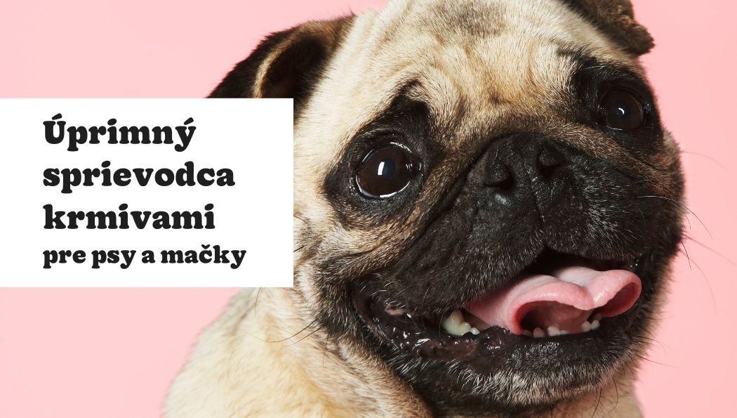 Rýchly a úprimný sprievodca krmivami na zuzalokisk.sbs